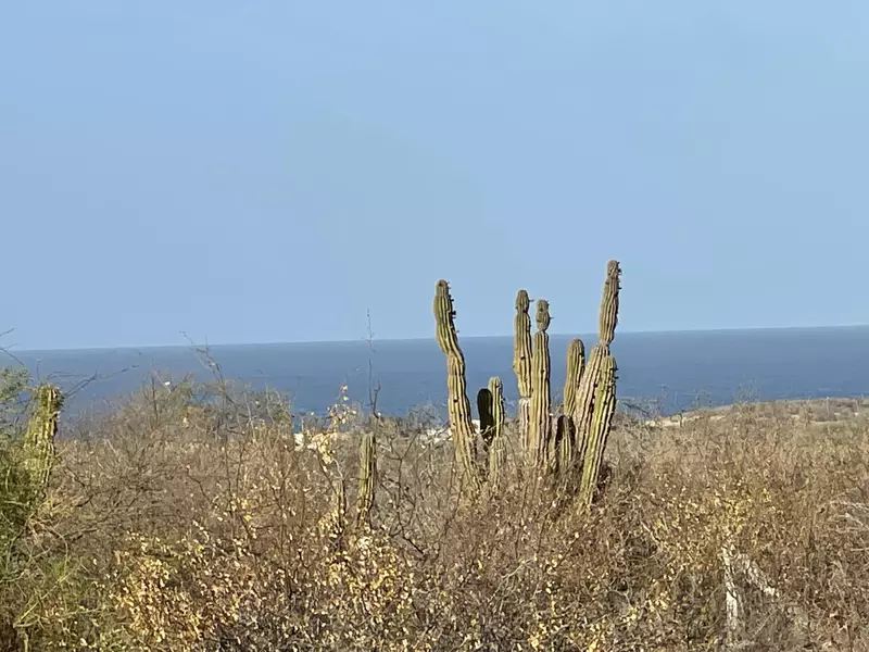 East Cape, BCS