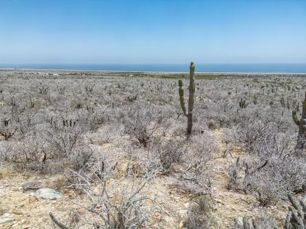 Pacific, BCS,n/a Las Playitas n/a