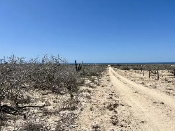 Pacific, BCS,Camino de La Anguila