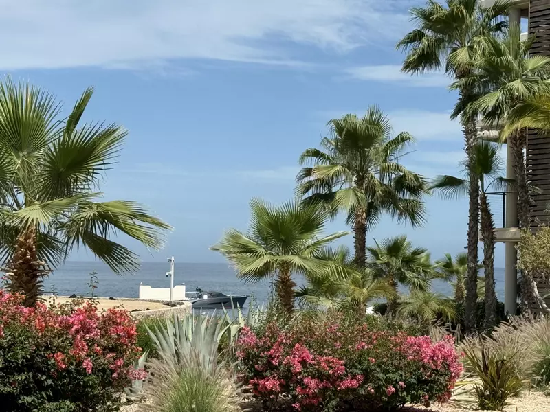 Fresco 1 Km 15 Carr. Transp. Cabo-SJ #1705/1707, Cabo Corridor, BCS