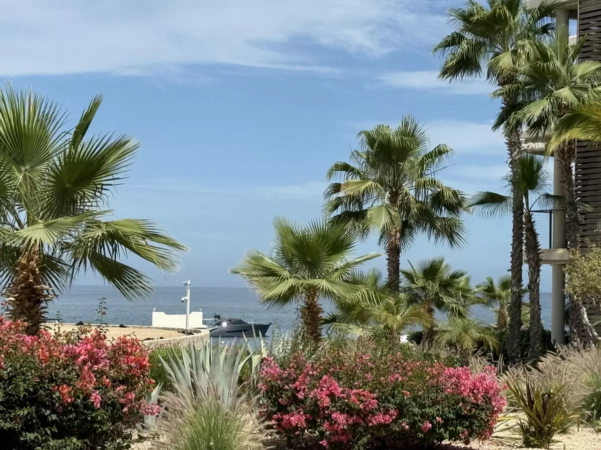 Cabo Corridor, BCS,Fresco 1 Km 15 Carr. Transp. Cabo-SJ #1705/1707