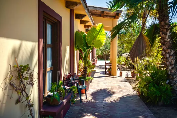 Pacific, BCS,#Rancho Tecolote