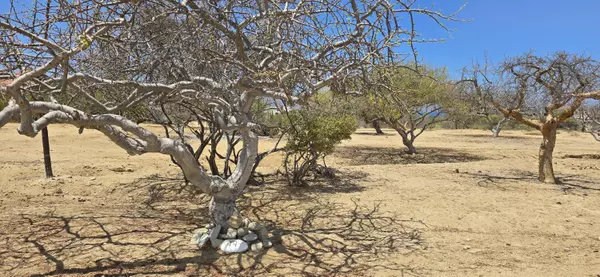 East Cape, BCS,Los Barriles - Santa Teresa