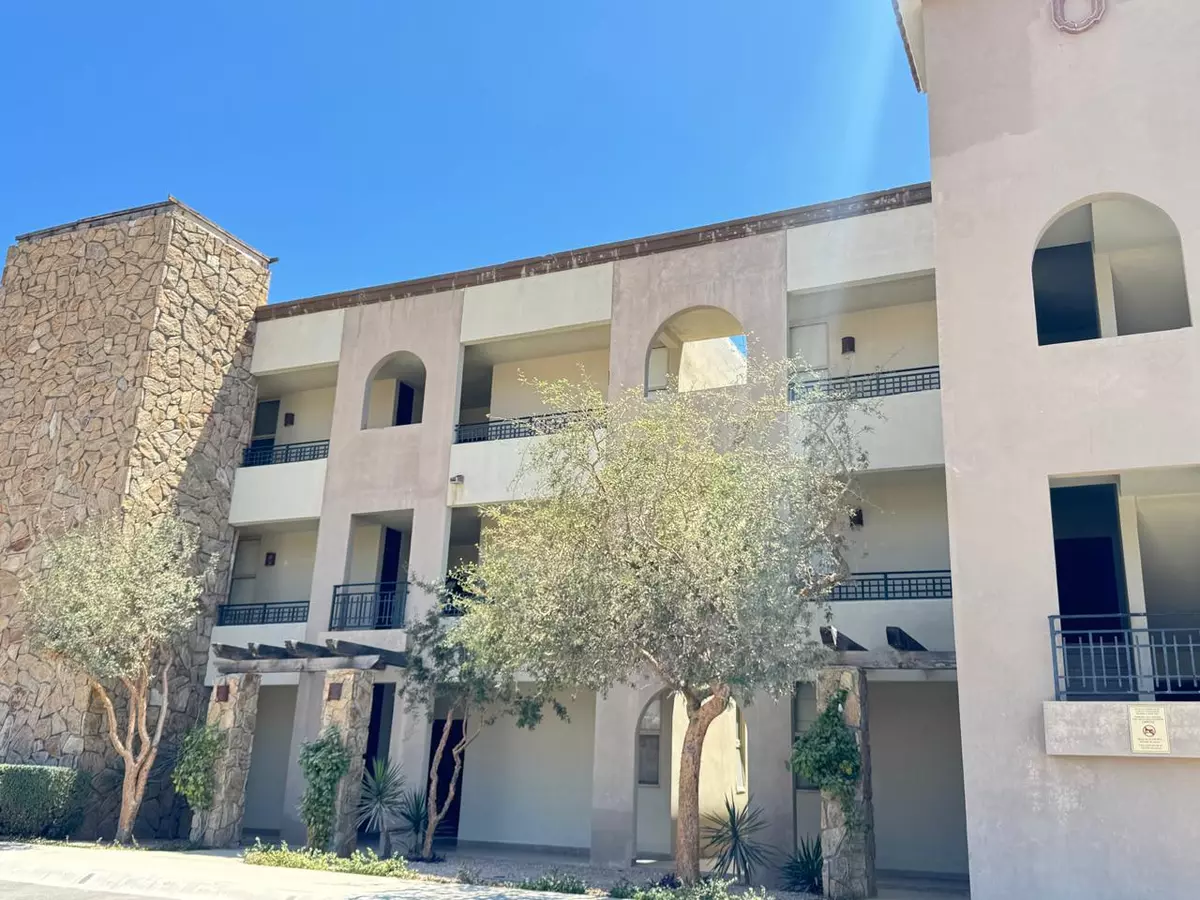Cabo Corridor, BCS,Albatros #1022