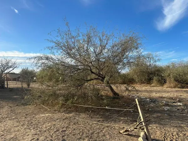 La Paz, BCS,Huatamote Cahel