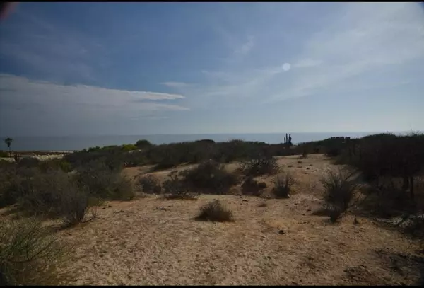 East Cape, BCS