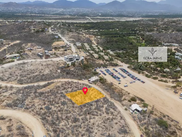 San Jose Del Cabo, BCS