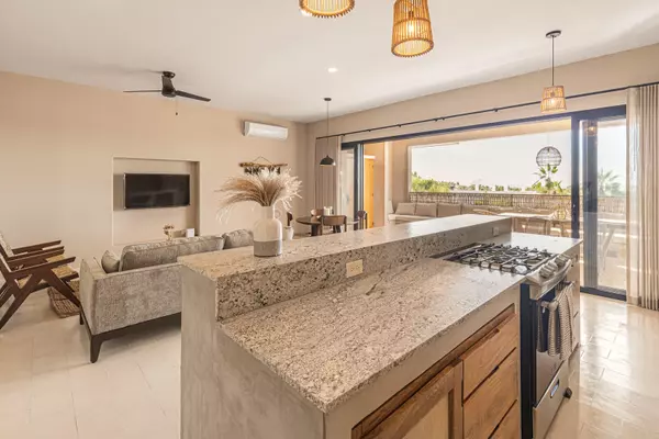 Pacific, BCS,Camino a Las Playitas #05