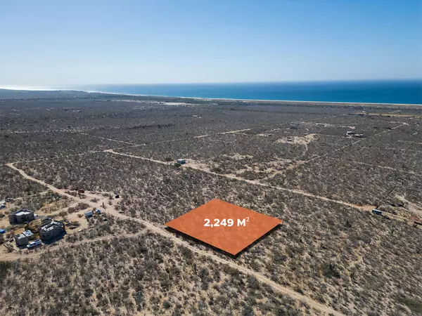 Pacific, BCS,La Playitas