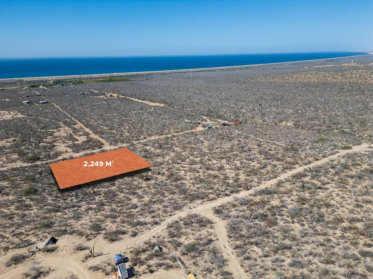 Pacific, BCS,Las Playitas