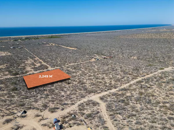 Las Playitas, Pacific, BCS