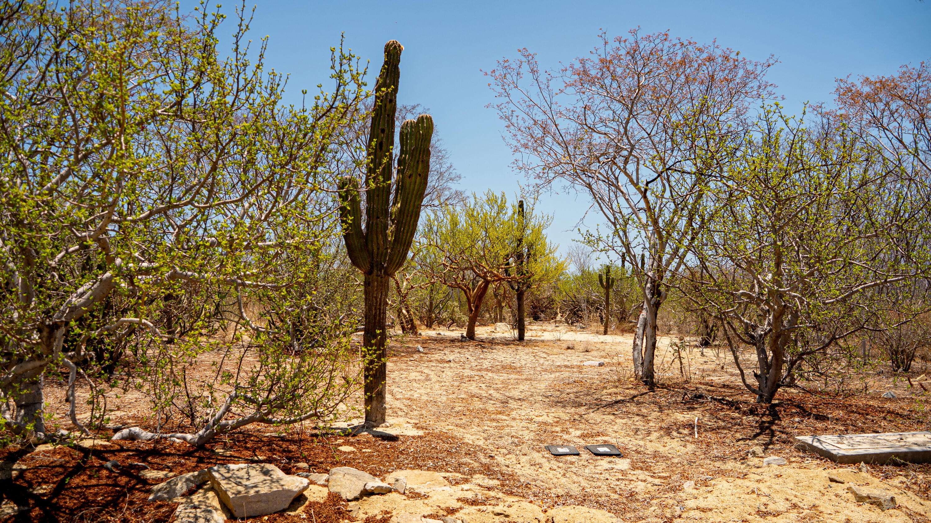 East Cape, BCS,Lot 24 Calle de Accesso