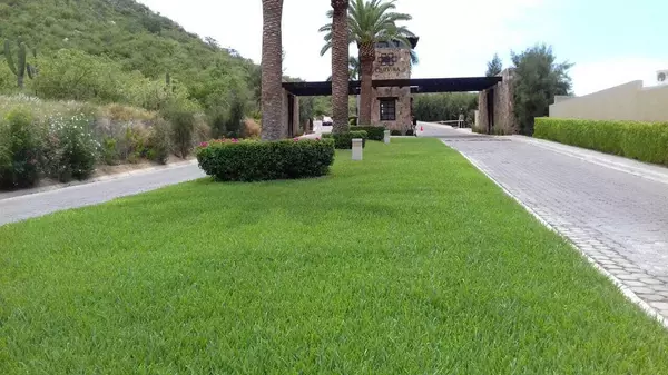 Cabo San Lucas, BCS,Blvd. Via de Lerry