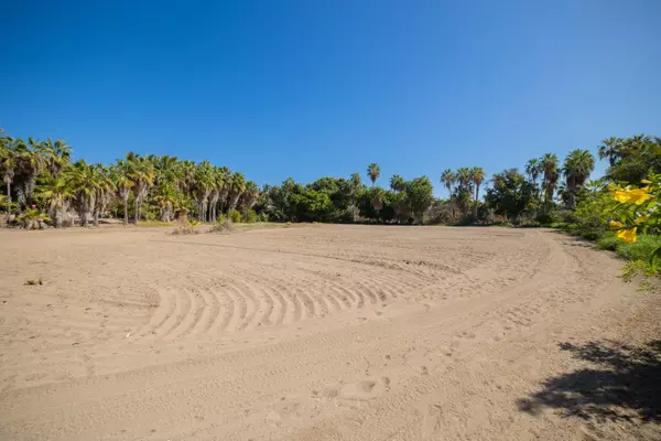 Pacific, BCS