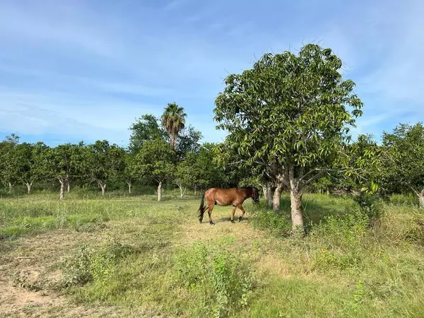 San Jose Del Cabo, BCS
