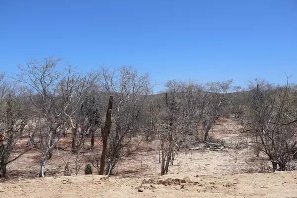 East Cape, BCS