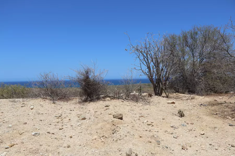 East Cape, BCS