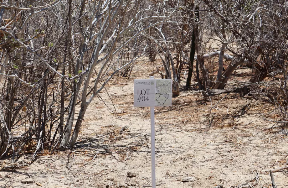 East Cape, BCS