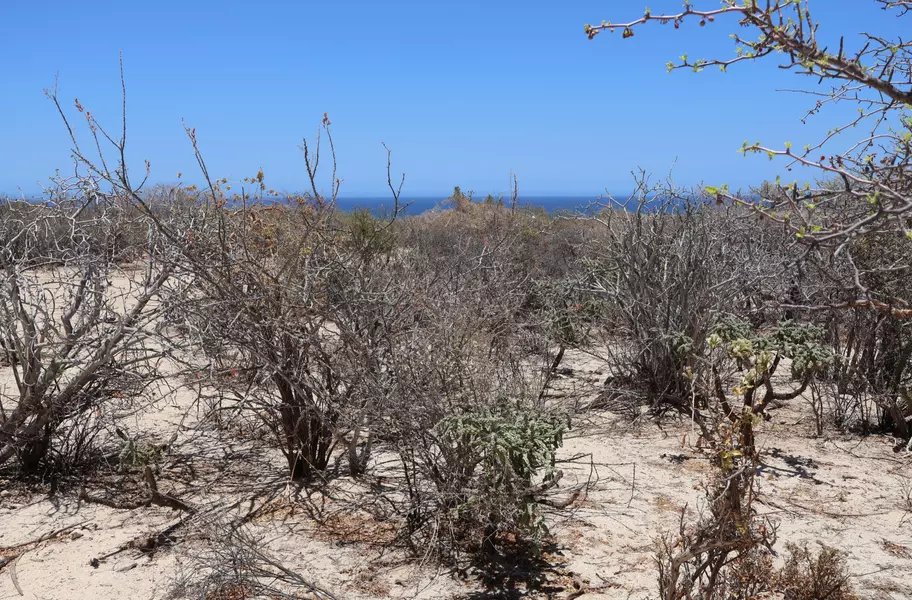 East Cape, BCS