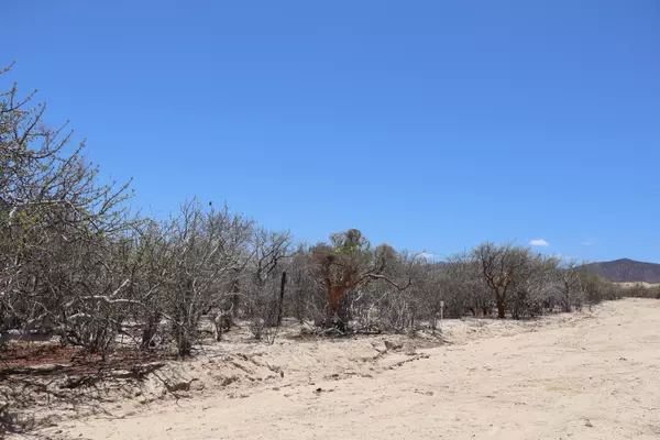 East Cape, BCS
