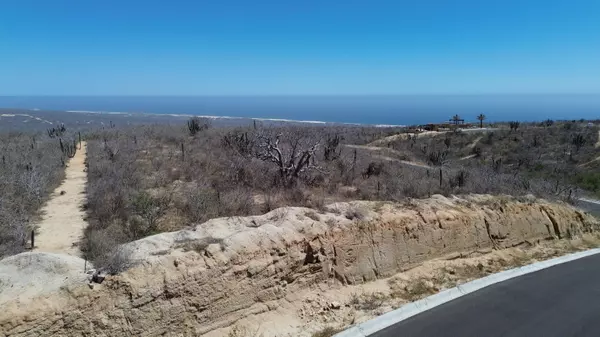 Pacific, BCS