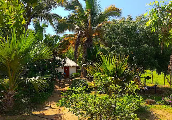 Pacific, BCS,Pescadero Huertas