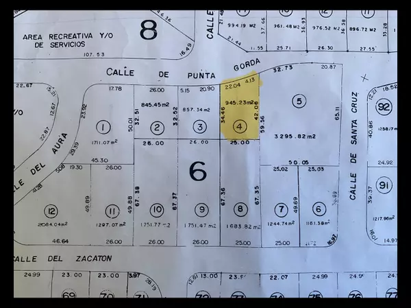 San Jose Del Cabo, BCS,Blk 6 Lot 4