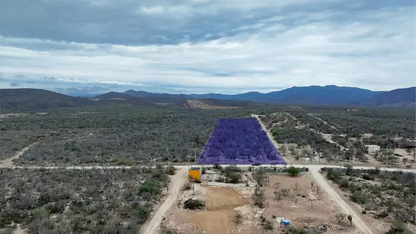 East Cape, BCS,Camino vecinal el cardonal