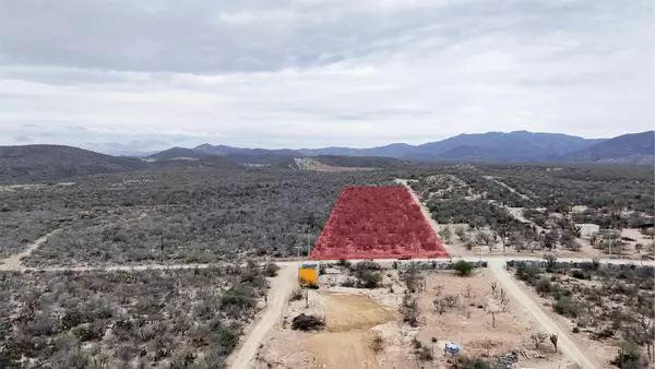 East Cape, BCS,Camino vecinal el cardonal
