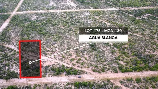 Pacific, BCS,#75 Mza #30, Todos Santos, La Paz