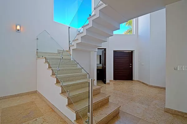 La Paz, BCS,#Palmera