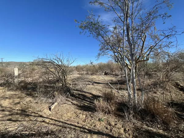 La Paz, BCS,SN CALLE CHUREA