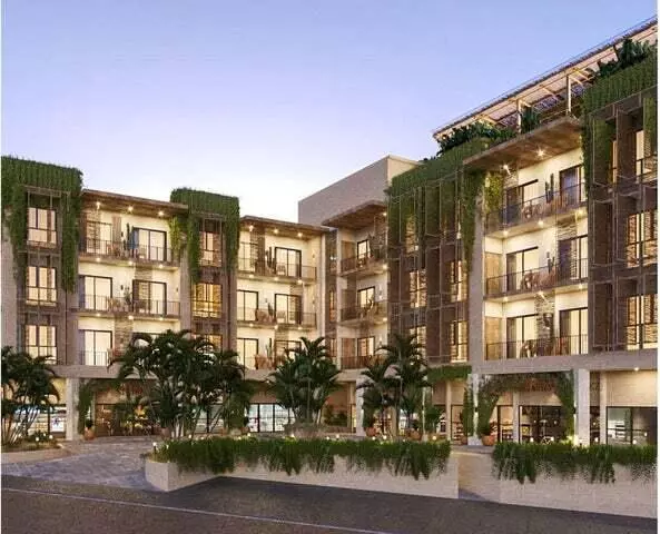 Cabo Corridor, BCS,EL TEZAL #215