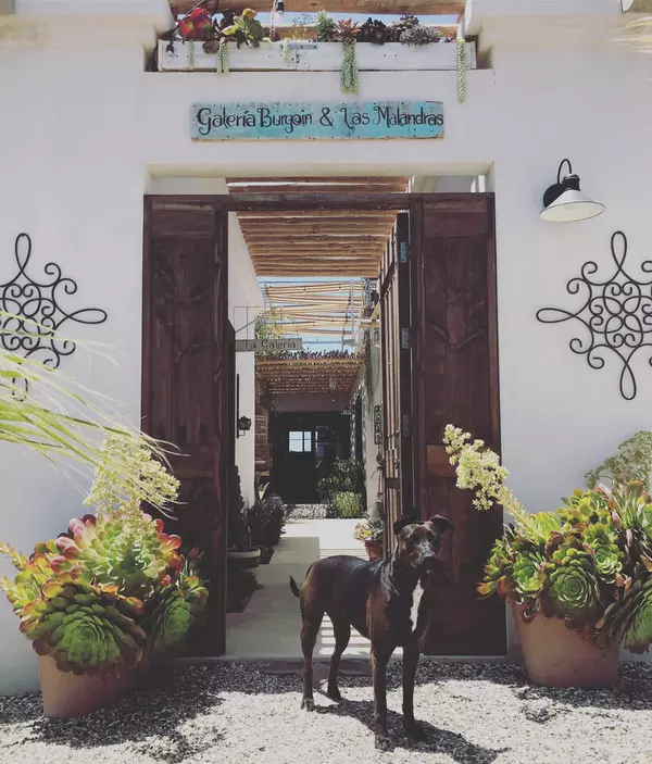 sn Pto. Loreto e/ Paseo Costero  #SurfSoul Home, Comondu, BCS
