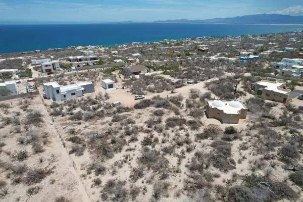 La Paz, BCS,Fondo Marino