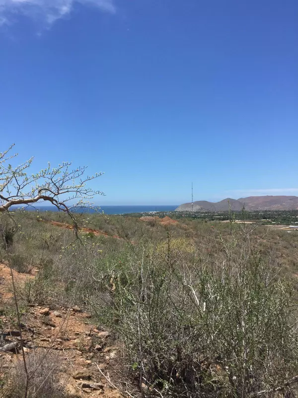 Pacific, BCS,Pescadero