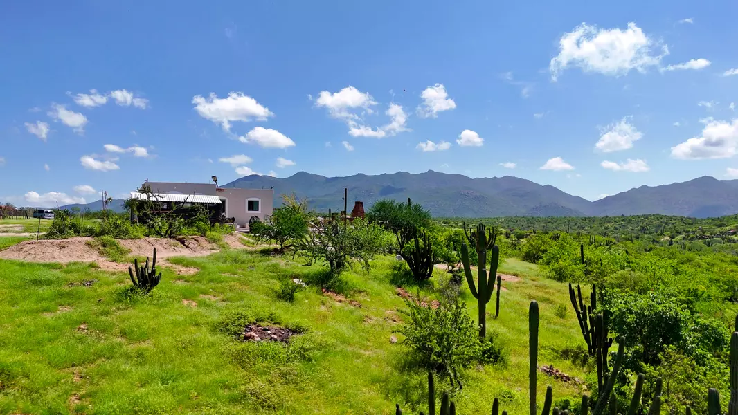 La Paz, BCS