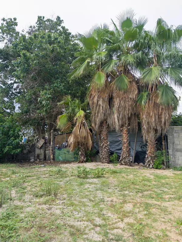 San Jose Del Cabo, BCS,#Casita Tere