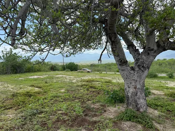 East Cape, BCS,Lote Ciruelos