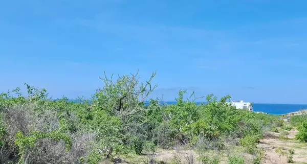 Pacific, BCS,81 Carretera Transpeninsular Todo