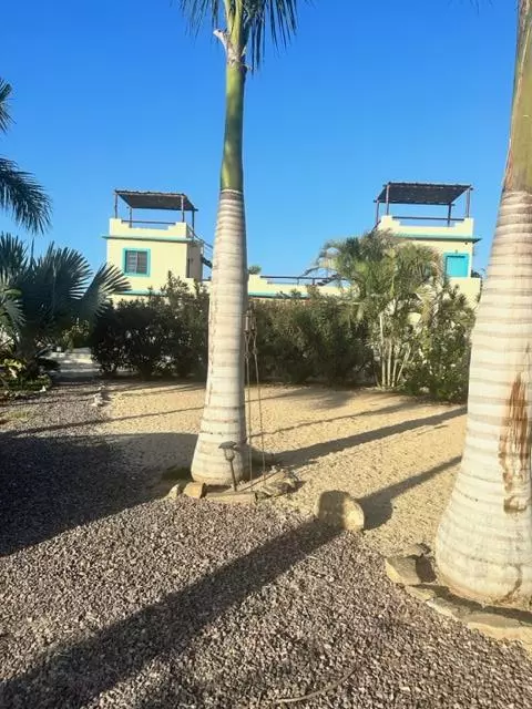 Pacific, BCS,Casa Coyote