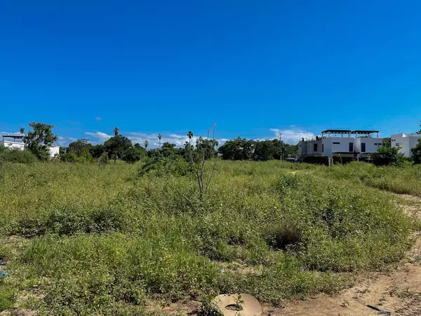 Pacific, BCS,Huerta Hermosa Pescadero