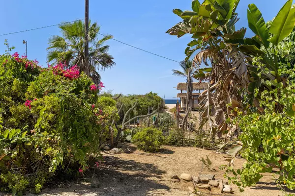 Pacific, BCS,#Surfing Villa