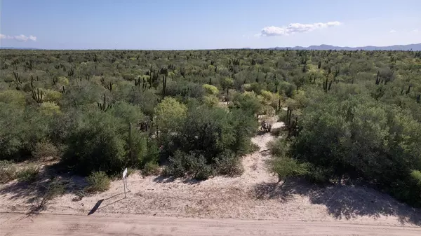 La Paz, BCS,Two Hectare Parcel