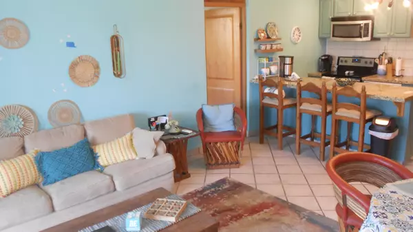 San Jose Del Cabo, BCS,Retorno Punto Palmillas #206