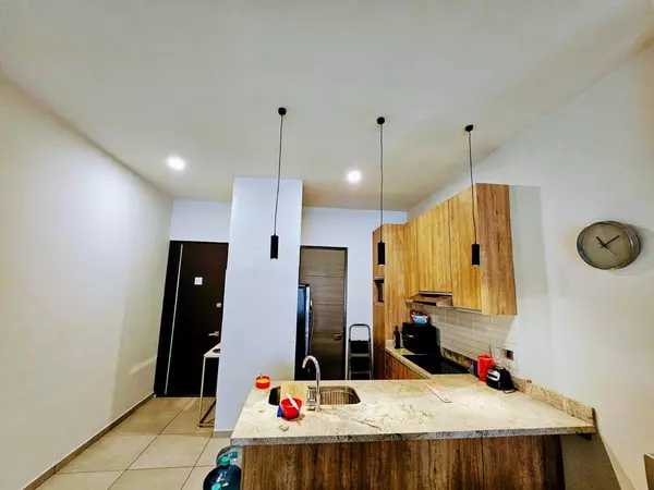 Cabo San Lucas, BCS,CAMINO A DIAMENTE #307