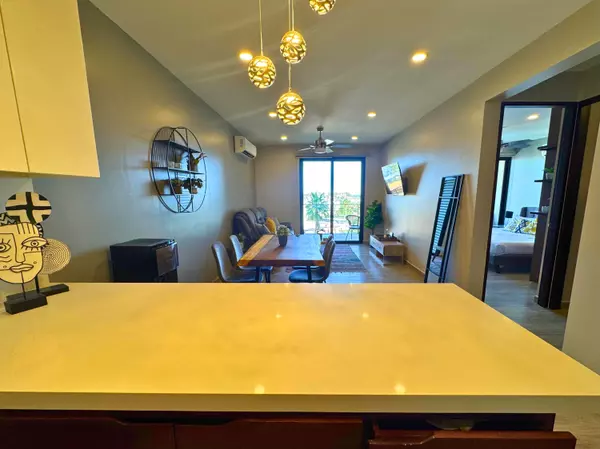 Cabo San Lucas, BCS,194 C. de la Laguna #104