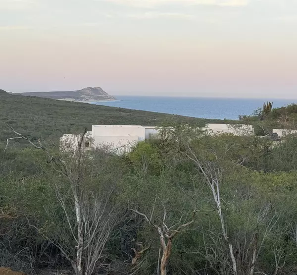 San Jose Del Cabo, BCS