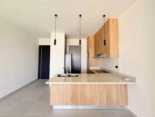 Cabo San Lucas, BCS,Camino Diamante #205