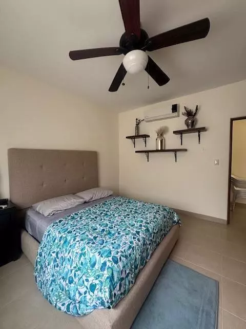 Cabo Corridor, BCS,#Albatros 127